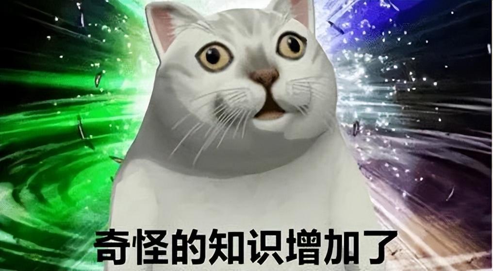 世界杯冷门分析（门兴vs多特蒙德：世界杯大名单竟是冷门元凶？）