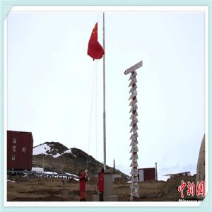 怎么训练巴西龟（巴西龟怎么养）-华海博客