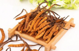 怎么判断虫草变质（如何判断虫草是不是坏了）-华海博客