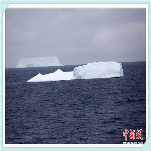 红杉树智能英语靠谱吗（红杉树智能英语登录）