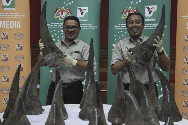 犀牛角鉴定机构