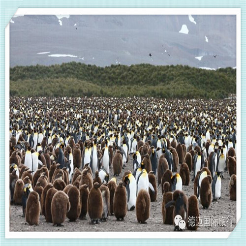 普丽普莱保健品怎么样（美国普丽普莱保健品怎么样）