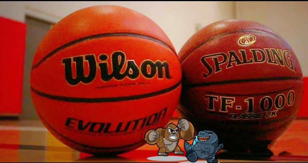 斯伯丁篮球83系列(两次成为nba官方用球,威尔胜到底什么来头?乔丹罗斯代言过它)