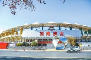 河南足球队叫什么名字（河南建业足球俱乐部官宣更名 改名河南嵩山龙门后 老胡还玩不？）-华海博客