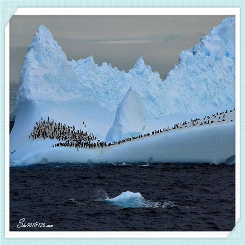 友芝友金爵鲜奶怎么样（友芝友金爵酸奶怎么样）