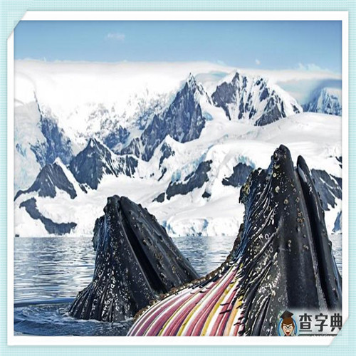 工业路由器品牌排行榜(工业级路由器哪家好)