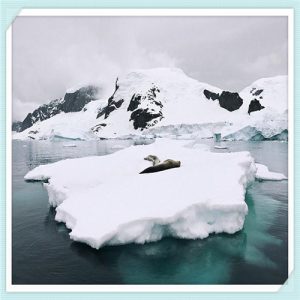 shoei和agv哪个做工好（agv头盔shoei哪个好）-华海博客