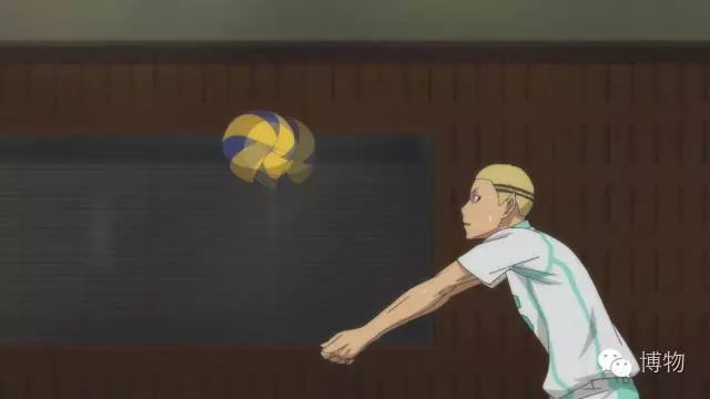 排球有哪几项基本技术(不看不知道,排球这项运动有这么多门道)