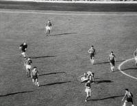 世界杯有没有打架视频（这是最粗野的一场世界杯！双方上演90分钟的球场群架）