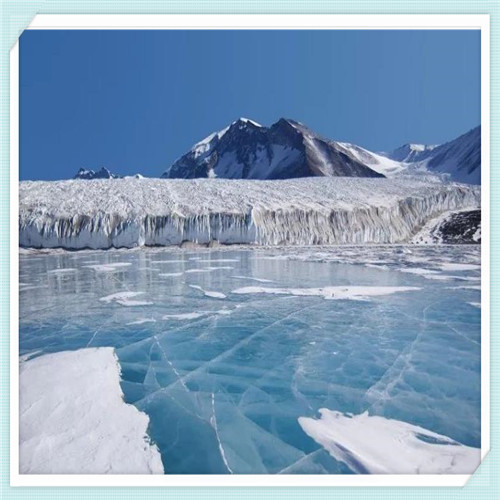 黄奕演技知乎(黄奕演技好)