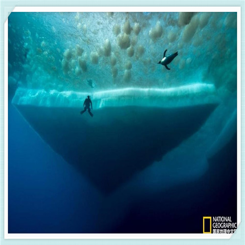 如何有效管理员工（如何去管理好员工）