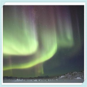 自然蔻的面膜怎么样（自然之名的面膜怎么样）-华海博客