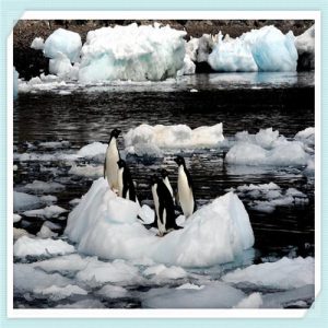 贝多芬月光曲鉴赏（贝多芬的月光曲赏析）-华海博客