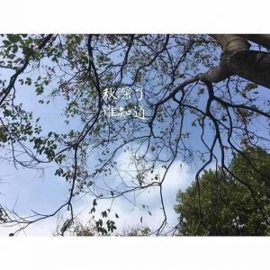 秋天有一種美（秋天有一種美叫粉黛亂子草）-华海博客