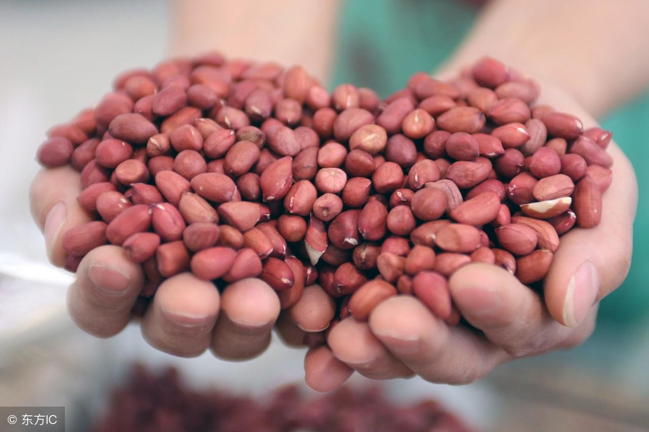 世界杯看球绝配（世界杯来了，这两种食物是看球绝配，嘴巴过瘾又健康）