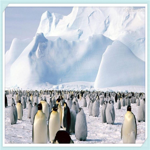 沈师和大外哪个学校好(沈师和辽师哪个学校好啊)