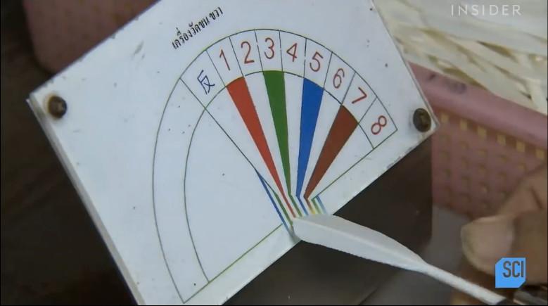 怎么做简单的羽毛球（看完羽毛球的制作过程，感觉不好好打球都有点对不住它）