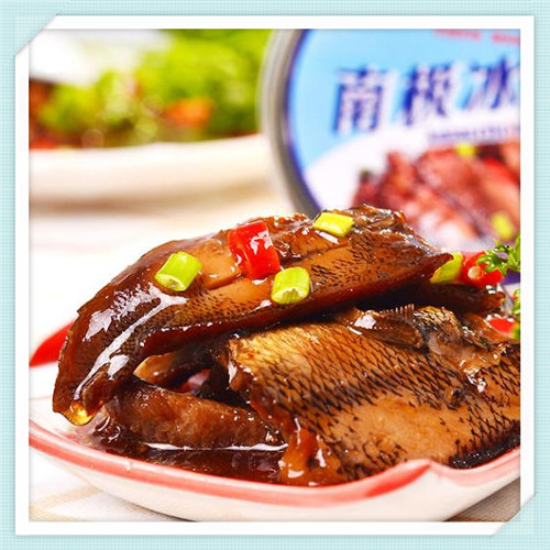 乐鱼长什么样（乐鱼长什么样子）