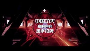 2012年武林风（太顶了！武林风《全球功夫盛典TOP10》炸裂来袭）-华海博客