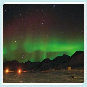 新鲜水果图片大全（新鲜的水果图片）-华海博客