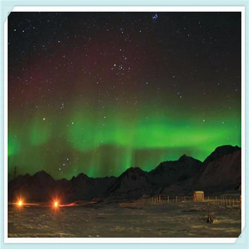 新鲜水果图片大全(新鲜的水果图片)