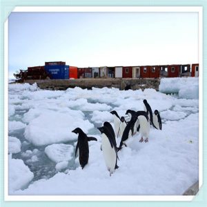 因美食而思乡的句子（通过美食表达思乡之情的句子）-华海博客