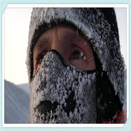 什么超市加盟便宜(什么超市加盟便宜决明子菊花枸杞金银花牛蒡根桂花)