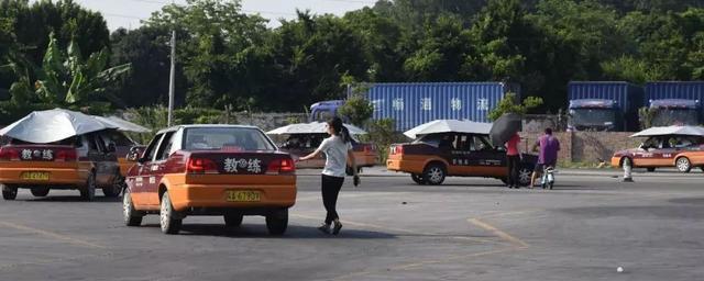 高尔夫初级教练证怎么考（从事驾校教练工作，考教练证要考哪些）