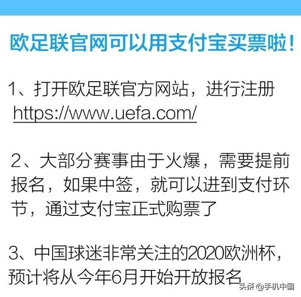现在什么软件可以买欧洲杯(想看明年欧洲杯不需用欧足联官网了!今年用这app就能买)