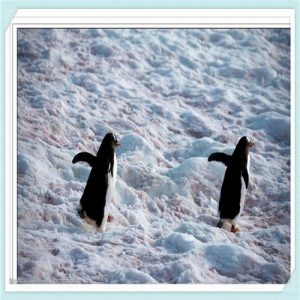 苏州明基医院医疗水平怎么样（南京明基医院医疗水平怎么样）-华海博客