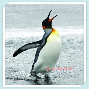 依泉舒缓保湿喷雾一天用几次（依泉舒缓保湿喷雾怎么用）-华海博客