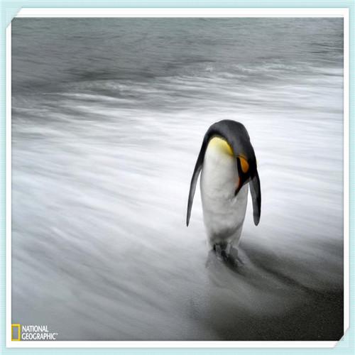 张家口正博和东方中学哪个好(张家口东方中学怎么样)