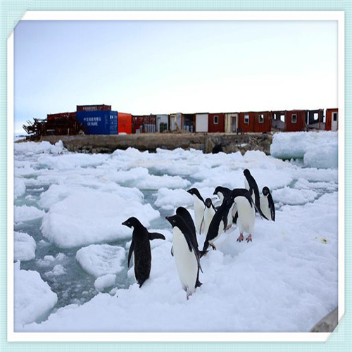 东风本田享域（东风本田享域2021款报价及图片）