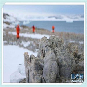 维特拉三大件真是原装进口吗(阿特兹三大件是原装进口的吗)-华海博客