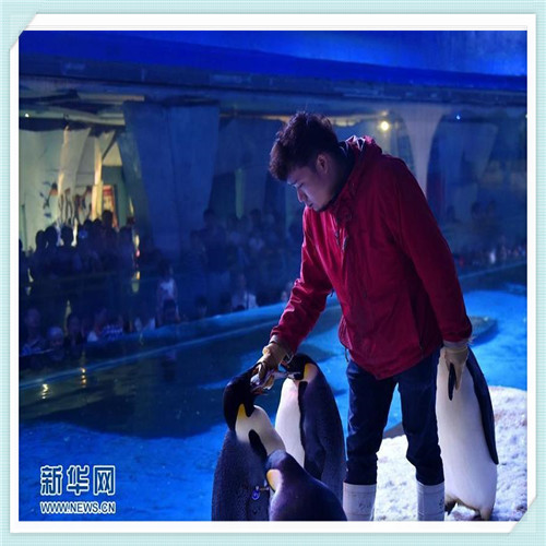 帕莎有镜片吗（帕莎有近视镜片吗）