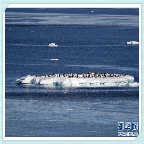 泰国285洋酒(泰国洋酒图片)