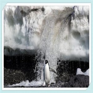 口碑最好的瓷砖品牌(哪个牌子的瓷砖好)-华海博客