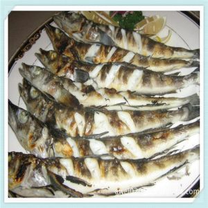 石臼凤凰小学怎么样（日照石臼凤凰小学怎么样）-华海博客