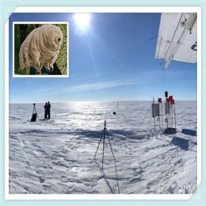 讽刺对方敷衍的句子（关于被对方敷衍的句子）-华海博客