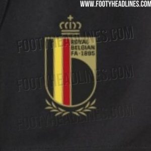 欧洲杯比利时队徽（比利时新队徽曝光，采用对称设计且配色更清澈明亮）-华海博客