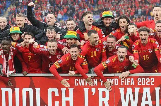 2002足球世界杯百度云（世界杯参赛队尘埃落定，细数32强诞生的喜怒哀乐）