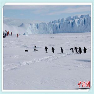 吉林运管从业资格证平台（吉林运管从业资格证自助服务）-华海博客