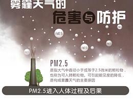 雾霾天气的危害(雾霾天气的危害用英语怎么说)-华海博客