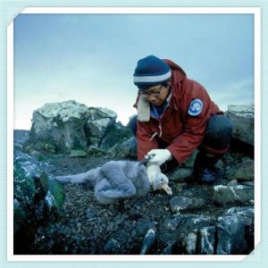 卡碧香烟价格（翠碧一号香烟价格）-华海博客