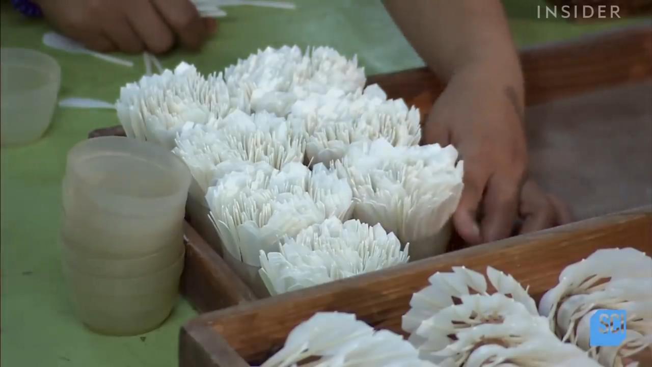 怎么做简单的羽毛球（看完羽毛球的制作过程，感觉不好好打球都有点对不住它）