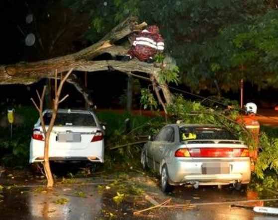 车险需要买哪些险种（车险只需要买哪几种）