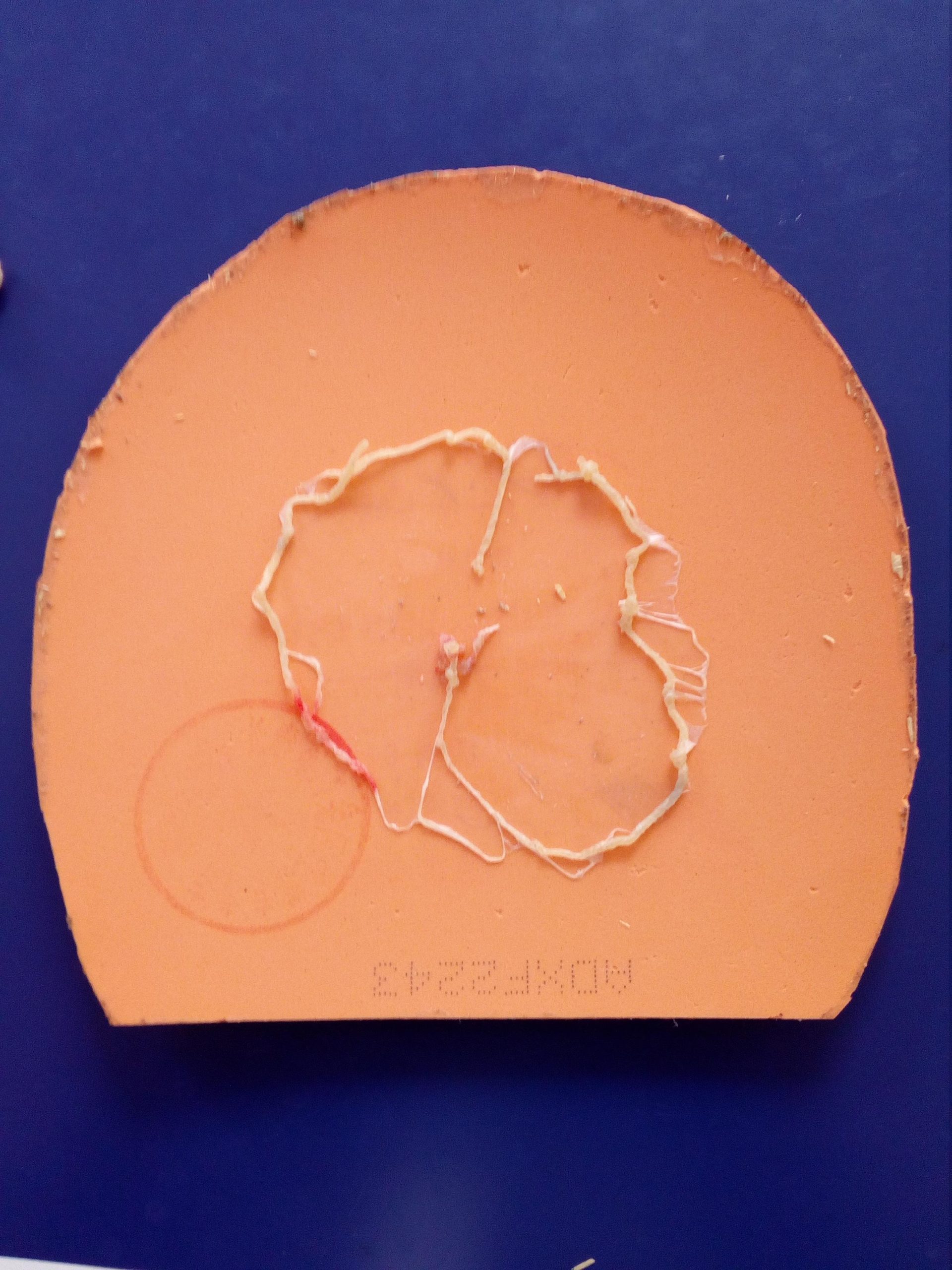 乒乓球胶皮需要除胶吗(快速清理乒乓球胶皮和底板上残留的胶水层,乒乓球爱好者的小窍门)