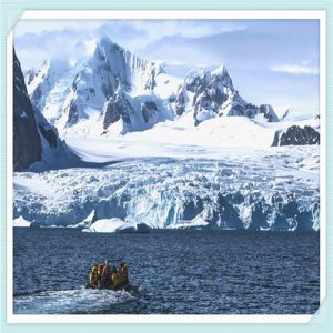 新浪月月盈（新浪月月盈plus）-华海博客