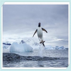 腿歪了怎样能使腿变直（腿型怎么矫正变直）-华海博客