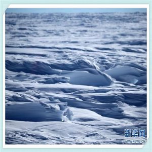 名贵景观树排名（十大名贵风景树）-华海博客